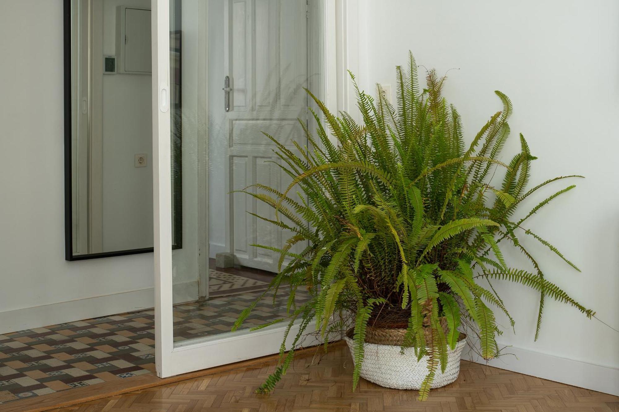 Apartament Parking Free, Granada Vintage Haven Zewnętrze zdjęcie